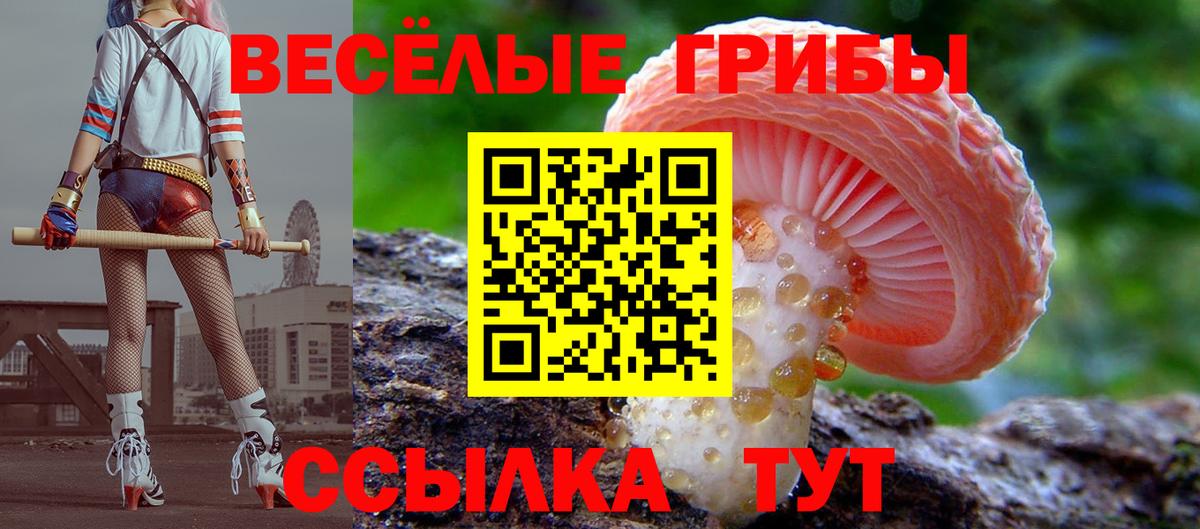 Галлюциногенные грибы прущие грибы  Вход с VPN  Котельники  Галлюциногенные грибы мухоморы 
